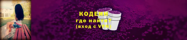 дживик Абаза