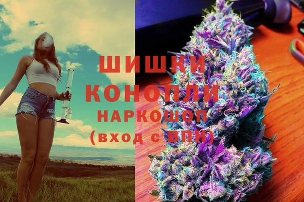 дживик Абаза