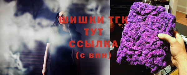 дживик Абаза