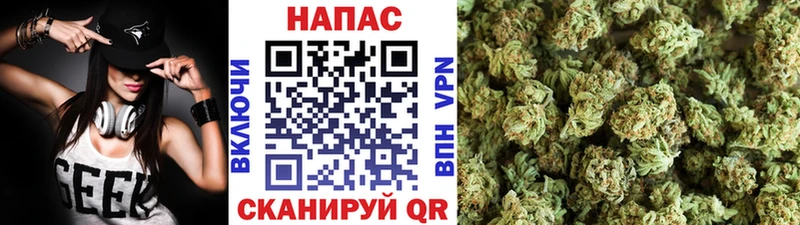Бошки марихуана конопля Южноуральск
